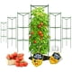 thumbnail image 1 of Tutor para tomates K-Brands, paquete de 6, 122 cm de alto, soporte para plantas, 1 of 9