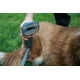 thumbnail image 4 of Cepillo Para Mascotas Pet Brush Aspiradora Inalámbrica X5 full, 4 of 4