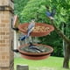 thumbnail image 4 of Bebedero para pájaros, comedero independiente para exteriores para pájaros silvestres, comedero colgante, kit de decoración de jardín para atraer aves silvestres (2 bebederos para pájaros), 4 of 5