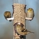 thumbnail image 3 of Alimentador de semillas Woodlink de cobre cepillado de 6 puertos con colgador, 3 of 3