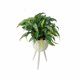thumbnail image 2 of Macetero de Rattan (M), 2 of 7