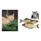 thumbnail image 3 of Snack Para Gatos Con Hierba Gatera Y Pescado De Océano 50 Gr, 3 of 3