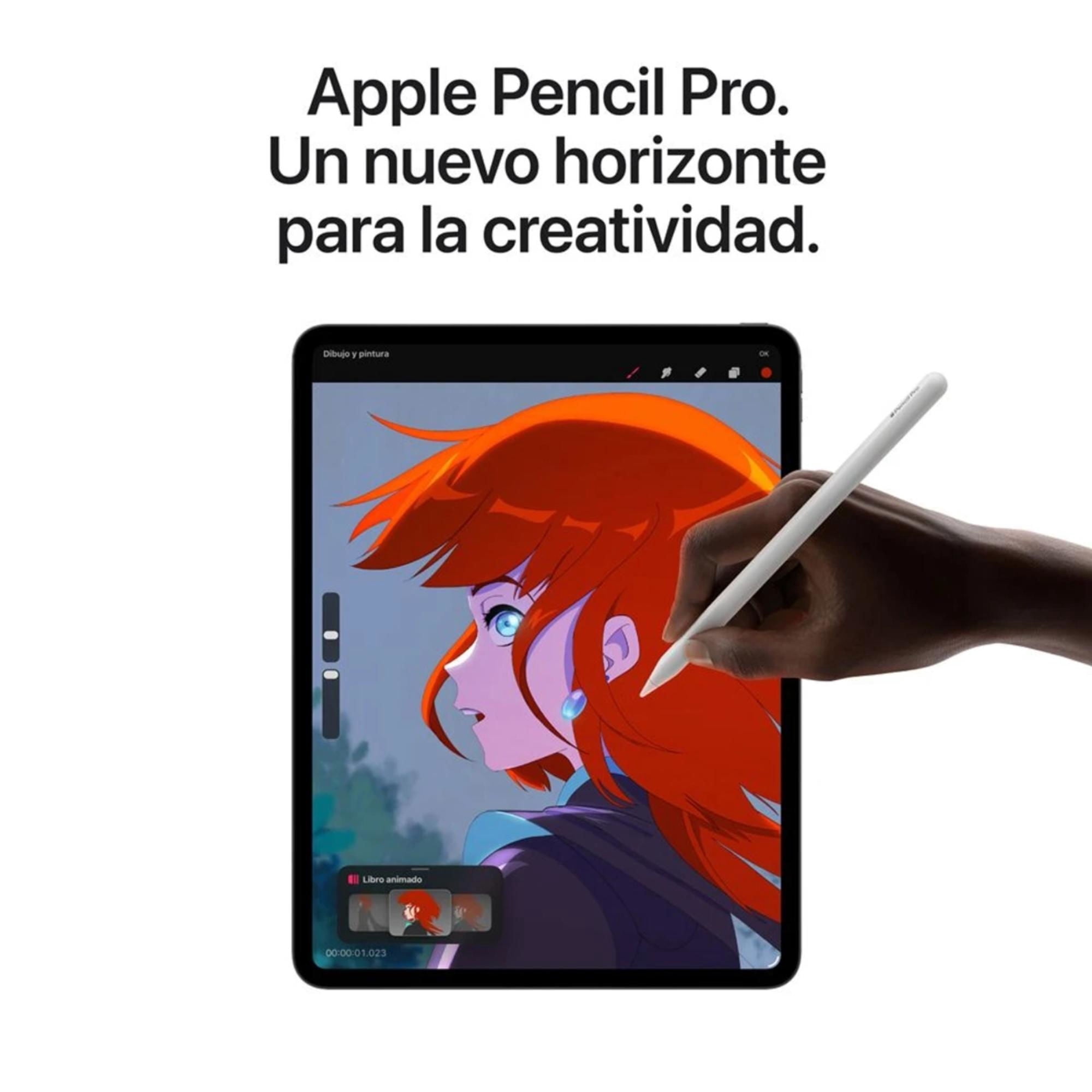 iPad Pro 13 M5 Wi-Fi + Cellular pantalla estandar 256GB negro