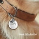 thumbnail image 5 of XTOOL Silver Bone Dog Tag, 5 of 6