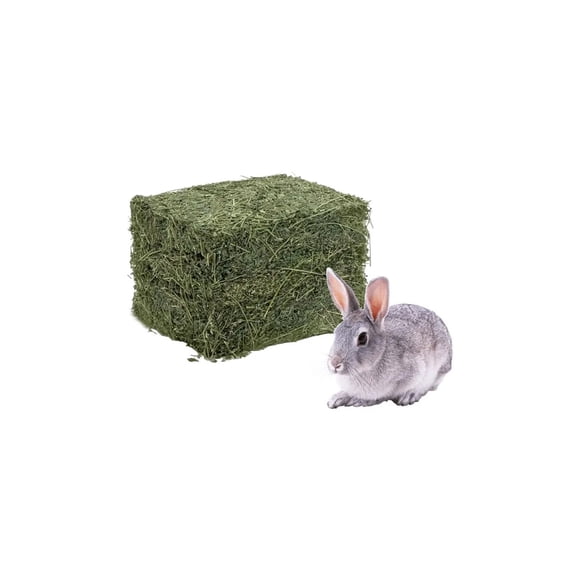 Heno de Alfalfa 2 Kg Natural Alimento Roedores Conejos Cuys