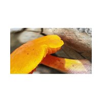 Micolor - Papel Brillante Textura Acanalada A4 220 G 50 Hojas