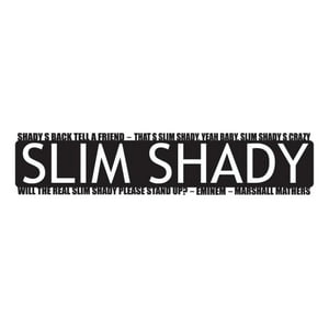 Rienda Libre Graphics - Decomural Slim Shady Stand Up Eminem Song Lyrics Ws-40953