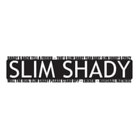 Rienda Libre Graphics - Decomural Slim Shady Stand Up Eminem Song Lyrics Ws-40953