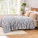 thumbnail image 2 of Manta de felpa Berkshire Blanket Peanuts® VelvetLoft® Snoopy, 2 of 8