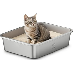 Caja De Arena Para Gatos Qiuma De Acero Inoxidable Con Mango De 15,6 X 11,6 X 3,9 Cm