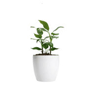 Genérico - Maceteros Plástico 20X22Cm Amalfi Pack 2 Unidades 5.3L Blanco