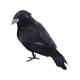 thumbnail image 2 of Cuervos De Halloween Cuervos Con Plumas Negras Realistas Para Disfraces Elegantes Patio Césped Estilo B, 2 of 5