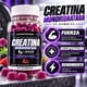 thumbnail image 3 of Creatina Monohidratada 60 Gummies 5g por Porción Frutos del Bosque Elite Nutrition, 3 of 3