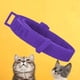 thumbnail image 2 of Collar Antipulgas Para Gato Happy Pets Aromatizado Violeta 45cm, 2 of 2