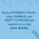 thumbnail image 2 of Recargas de Aceite Aromático Mrs. MEYER'S CLEAN DAY Agua de Lluvia 20 mL x4, 2 of 7