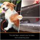 thumbnail image 5 of Fundas de asiento de coche para perros iBuddy, hamaca impermeable para coches y vehículos deportivos utilitarios, 5 of 6