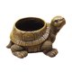 thumbnail image 2 of Maceta De Tortuga, Jarrón Coleccionable, Maceta De Escritorio, Maceta Para Regalo, Oficina, Marrón, 2 of 5