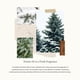thumbnail image 3 of Spray de lino Thymes Frasier Frasier con aroma a abeto 270 ml, 3 of 6