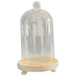 Bothyi - Campana De Cristal Cúpula Flores Eternas Cúpulas De Cristal Vitrina Cúpula Transparente Bola De Campana