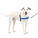 thumbnail image 1 of Arnés para perros PetSafe Easy Walk, sin tirones, tamaño medio/grande, azul, 1 of 6