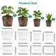 thumbnail image 2 of Juego de macetas Bluepro 13/15/20/25 cm – 12 unidades transparentes, 2 of 5