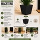 thumbnail image 5 of Set 2 Macetero Plastico Bajo Premium Base Cuadrada Conica S negro, 5 of 7