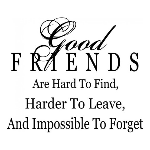 Rienda Libre Graphics - Decomural Good Friends Hard To Find Ws-15964