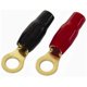 thumbnail image 1 of Terminal de anillo Audiopipe PBTR4 4GA dorado o platino, 1 of 1