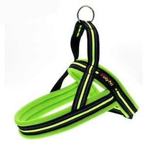 Winpet - Arnés Para Perro - Noruego Verde M