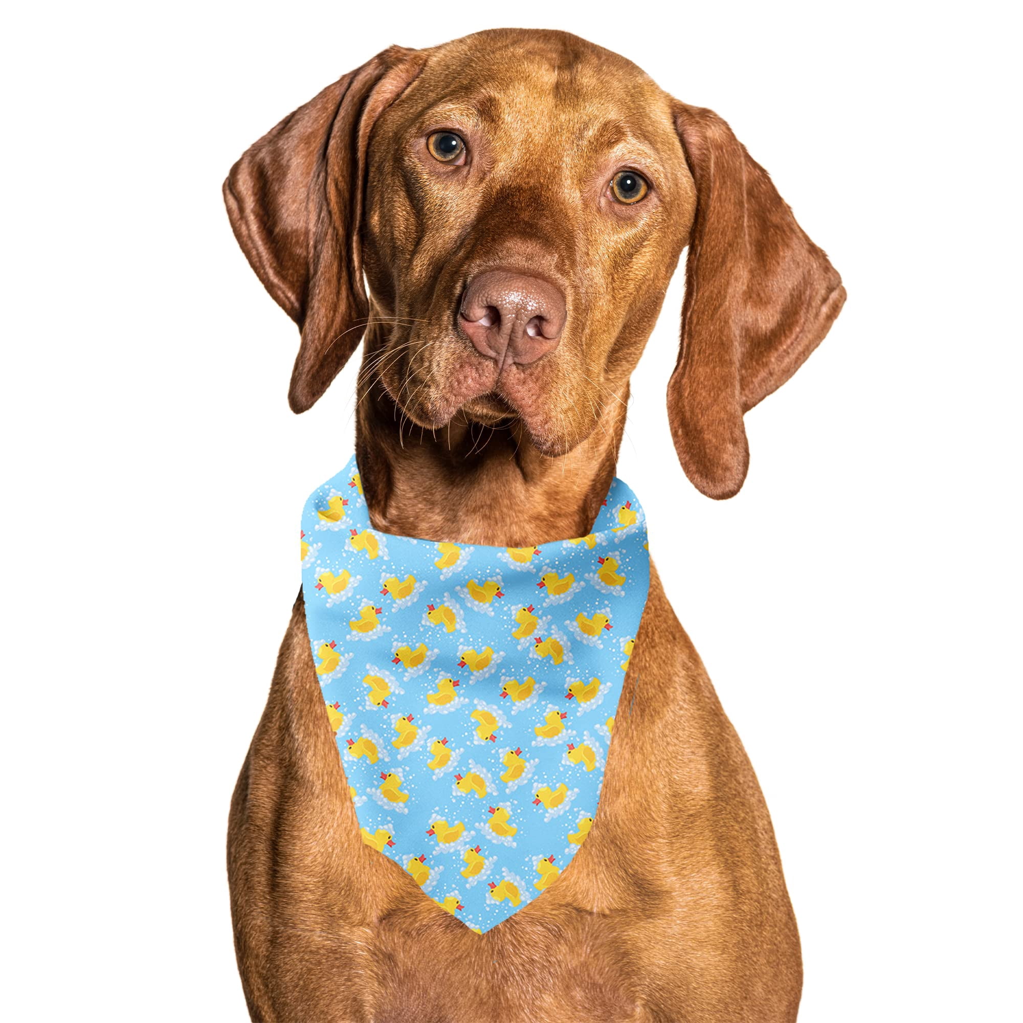 Bandana para perros, corbatas de goma para patitos, material refrescante