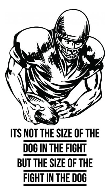 Rienda Libre Graphics - Decomural Fight Of The Dog American Football Ws-43037