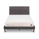 thumbnail image 1 of Cama Europea Curve Cocopedic 2 Plazas Respaldo Kavery, 1 of 14