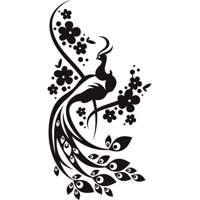 Rienda Libre Graphics - Decomural Floral Peacock Birds Feathers Ws-19098