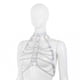thumbnail image 1 of Cosmo Harness Tornasol, 1 of 2