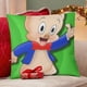 thumbnail image 4 of El Show de Porky Pig Fundas de almohada de terciopelo con tema, regalos de funda de almohada, decoración para el hogar, cojín de lanzar, regalo de cumpleaños para fans y parejas.40*40cm., 4 of 6