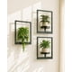 thumbnail image 1 of Bamworld Maceteros de pared colgantes, paquete de 3, para interior y exterior, 1 of 5