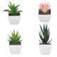 thumbnail image 2 of Mini Suculentas Artificiales + Macetero Decoracion 24 Uni., 2 of 4