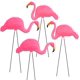 thumbnail image 1 of Figurita GiftExpress 61 cm Flamenco Rosa – Juego de 4, 1 of 8