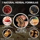 thumbnail image 3 of Té de hierbas Andonisus Ginseng Mulberry Kidney Cleanse 30 bolsas, 3 of 9