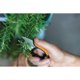 thumbnail image 2 of Tijeras de jardín Fiskars 13 cm Herb Snips SoftGrip, 2 of 9