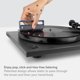 thumbnail image 3 of Cepillo para vinilos Boundless Audio de fibra de carbono, 3 of 3