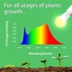 thumbnail image 3 of Bombilla Grow Light Wiyifada A19 de espectro completo de 9 W para plantas de interior, 3 of 7