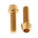 thumbnail image 3 of 2x M6 Titanio Ti Tornillo Carenado Perno Taper Cabeza Hexagonal Cónica Dorada M6x16mm, 3 of 5