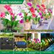 thumbnail image 3 of Luces Solares KuBace Pack de 6, 7 Colores Cambiantes, Impermeables, 3 of 7