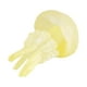 thumbnail image 1 of Figuras De Medusas Modelo Colección Pecera Educativa Para Regalo De Cumpleaños 3,6 Cm X 3,6 Cm X 5,3 Cm, 1 of 4