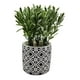 thumbnail image 1 of Planta Artificial Macetero Cerámica Vintage Flores Verdes, 1 of 4