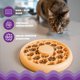 thumbnail image 4 of Alimentador para Gato Catstages 17 cm Comedero Lento con Rompecabezas, 4 of 8
