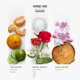 thumbnail image 2 of Aceite difusor AROMAPLAN Aromaterapia Wind Air 148 ml, 2 of 6