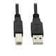 thumbnail image 1 of Cable Para Impresora 1.8mts Negro 1947, 1 of 5