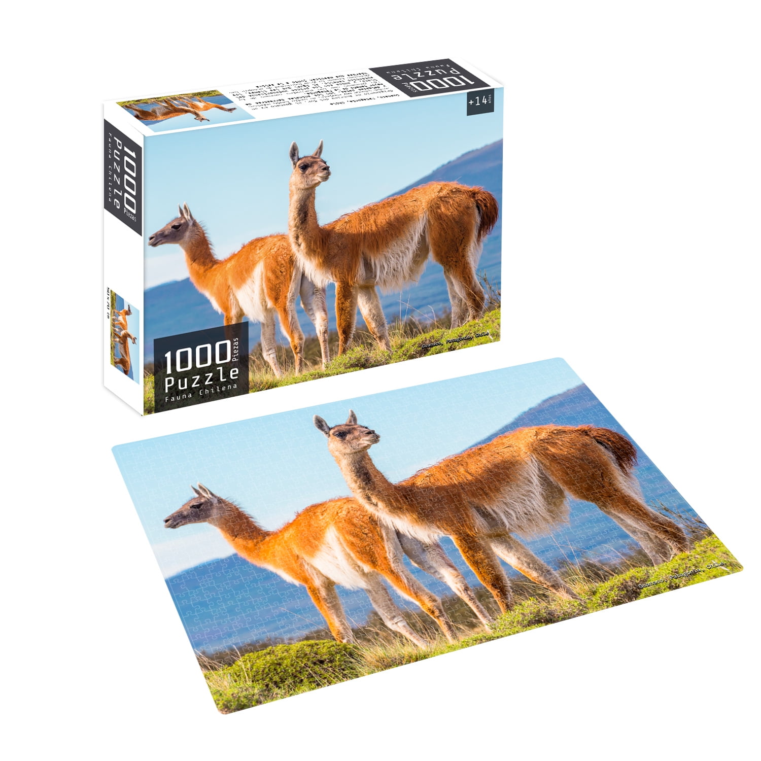 Nobel Gift - Puzzle 1000 Piezas Fauna Chilena Guanaco